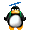 trop drle Pinguin0